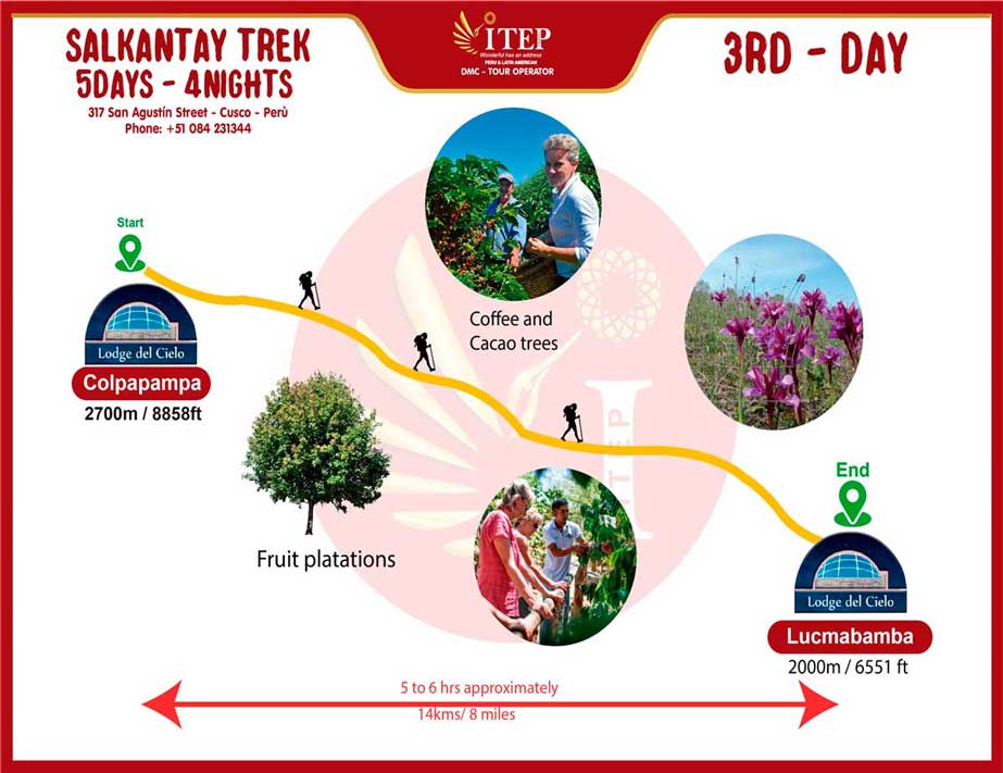 Map - Day 3: Descending into the Cloud Forest